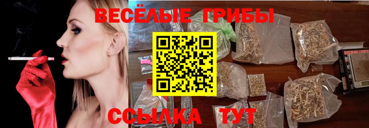 Петровск  Псилоцибиновые грибы Magic Shrooms  Вход с VPN  Псилоцибиновые грибы GOLDEN TEACHER 